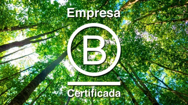 Empresas B: la organización que propone poner primero a las personas y después a la rentabilidad