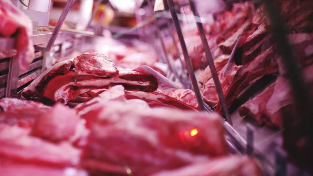 ¿Kebab con carne nacional? Es posible: Turquía da su ok a la carne bovina y al ganado en pie paraguayo