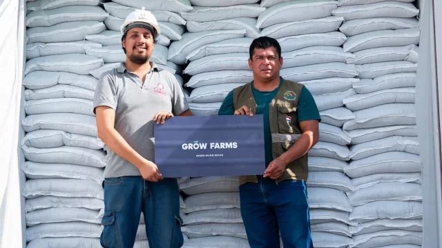 Dulce crecimiento: exportaciones de stevia paraguaya crecieron 517% en cinco meses