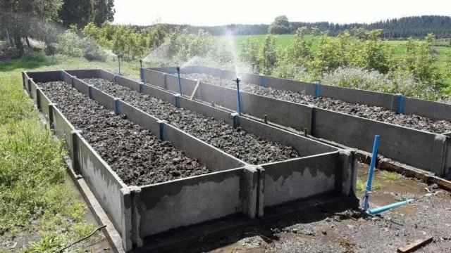 Lombricultura: el abono natural que mejora suelos y reduce residuos orgánicos (contiene hasta 5 veces más nutrientes que el material orgánico original)