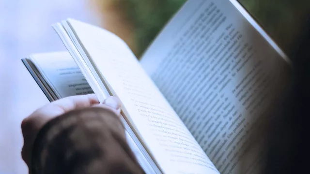Industria editorial paraguaya sigue sumando páginas: se registraron casi 1.400 libros en un año