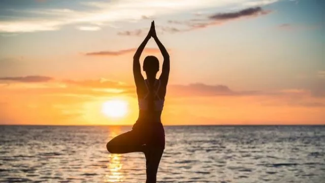 Wellvi, la primera plataforma wellness del país que reúne actividades, eventos y experiencias del sector en un solo lugar