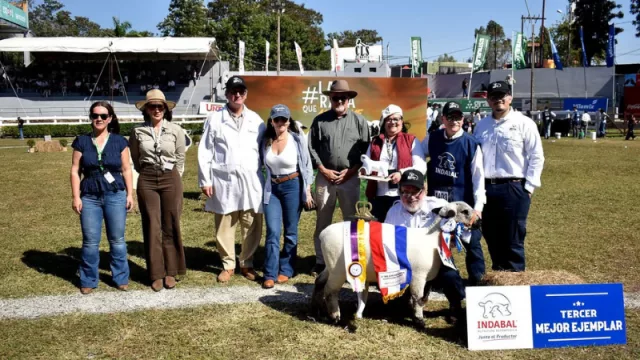 Con 104 ejemplares en pista, Hampshire Down lideró la mayor competencia ovina de la Expo