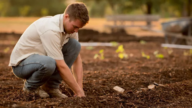 Precios del productor acumulan caída de 0,8% en el primer semestre (reducción se concentra en agricultura y horticultura)