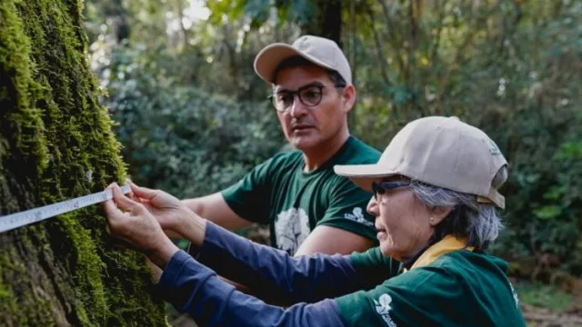 Colosos de la Tierra pasó de plantar 1 millón a casi 50 millones de árboles (multiplicó por 50 su impacto en 17 años)
