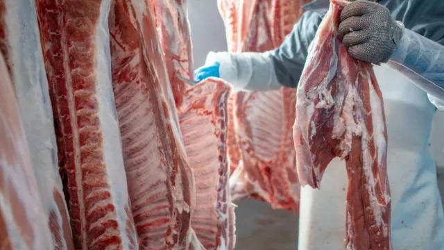 Dos de cada tres dólares que ingresan por exportación de carne provienen de Chile, Israel y EE. UU.