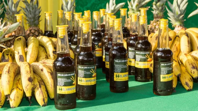 Desde Arroyos y Esteros producen 25.000 litros/mes de miel de caña y ahora quieren dar el salto industrial