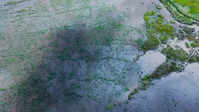 Esteros del Tebicuary: una comunidad busca convertir la memoria ambiental en una herramienta de conservación