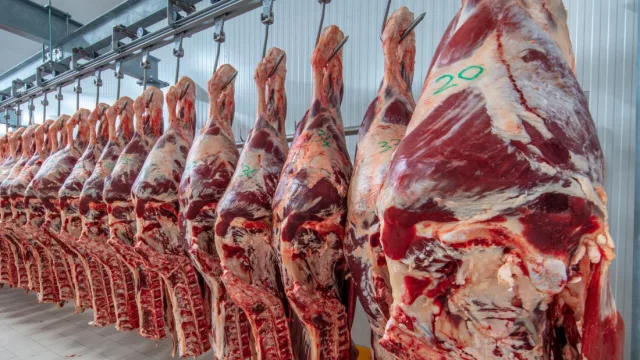 Evolución del complejo cárnico: el sector porcino despega un 90% en ingresos y Taiwán absorbe el 85% del negocio