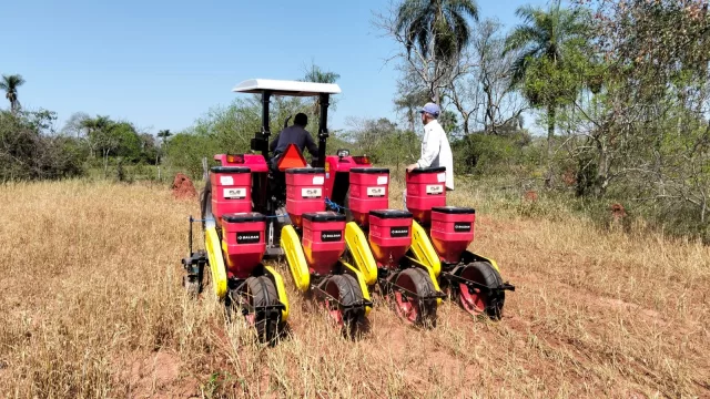 Agricultura de conservación: la apuesta de € 5,3 millones para quintuplicar la producción de maíz