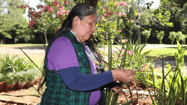 Tejer la memoria: mujeres nivaclé transforman saberes ancestrales en identidad y sustento