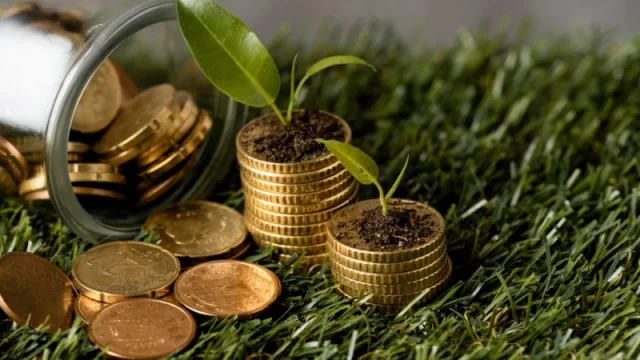 Créditos de carbono: el país deja atrás la etapa regulatoria y busca construir un mercado con alcance internacional
