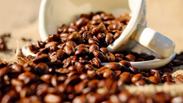 ¿Qué marcas de café pautaron más en agosto? Mayo lideró las emisiones y Nescafé la inversión