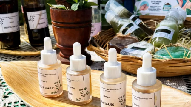 De la guampa al skincare: la yerba mate paraguaya explora su lugar en la cosmética con champú, sérum y espumas de afeitar