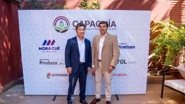 Tras quintuplicar sus exportaciones, la chía paraguaya crea un gremio y apunta a ganar en calidad