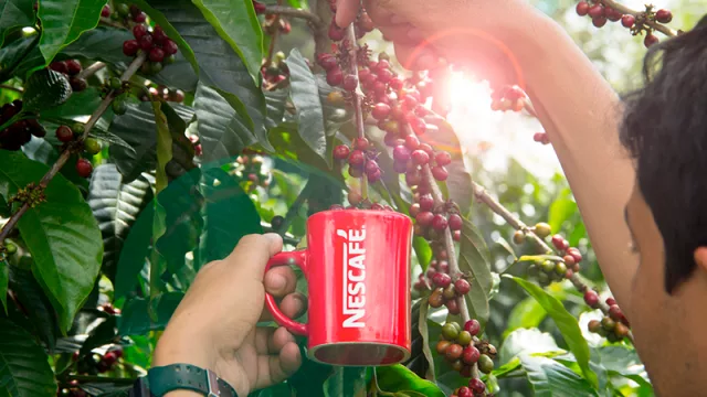 Nescafé celebra el Día Internacional del Café reafirmando su liderazgo en Paraguay y en el mundo