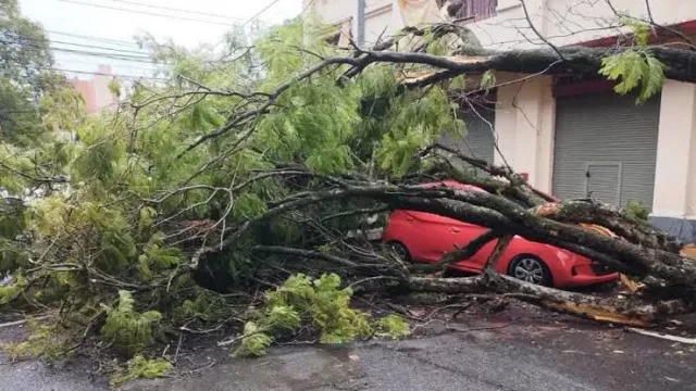 Parabrisas roto, auto abollado y granizo: ¿cuánto te cubre el seguro y cuánto te toca pagar de tu bolsillo?