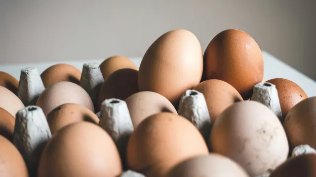 Hay huevos: producen 4 millones por día y quieren exportar e industrializar el excedente