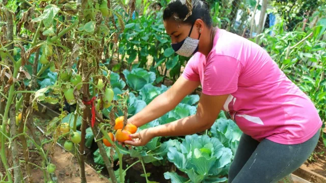 Producen, emprenden y sostienen hogares: los desafíos de las mujeres rurales para alcanzar autonomía económica
