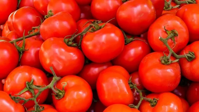 Tomate paraguayo ingresa por primera vez a Uruguay: exportan 27.000 kilos desde Caaguazú