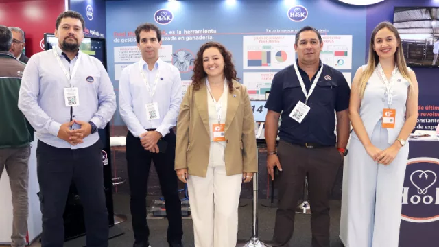 El ganado también entra a la nube: Hook apuesta por datos para producir mejor