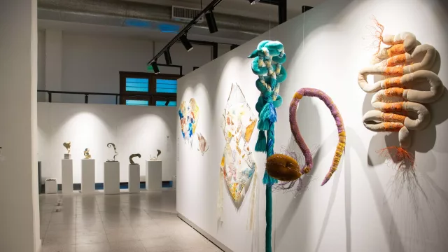 El arte paraguayo encuentra nuevos públicos: Oxígeno regresa con 74 artistas y una escena en expansión