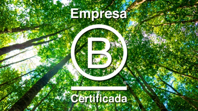 Cómo las empresas apuestan por modelos sostenibles que combinan rentabilidad e impacto positivo en la sociedad