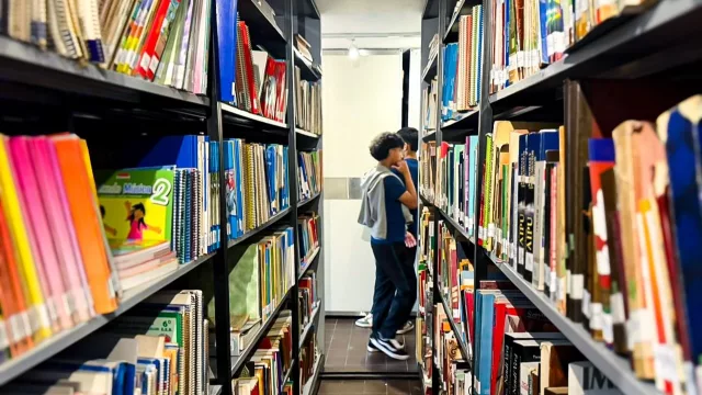 Bibliotecas públicas: 139 sedes, 120 municipios y la meta de instalar el hábito de la lectura