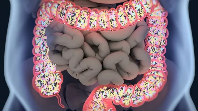 ¿Comés saludable, pero seguís con molestias? Qué otros factores afectan la salud intestinal y cómo cuidarla