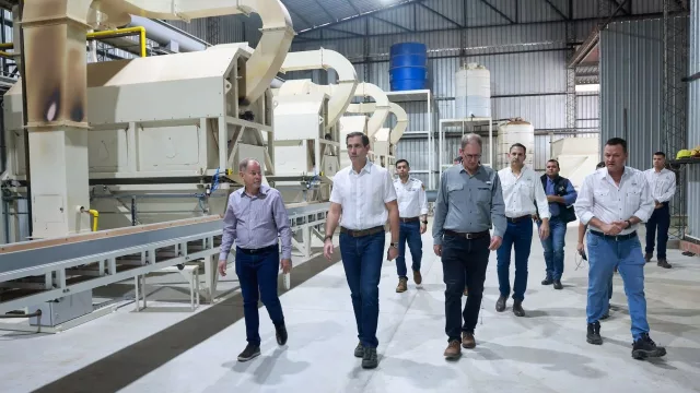 El Chaco va por 500.000 hectáreas de algodón: la apuesta que busca multiplicar por 16 la superficie actual